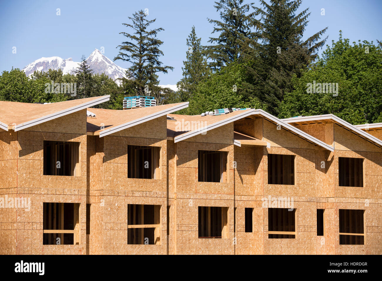 Appartement à ossature de bois de l'industrie de la construction du bâtiment d'habitation Banque D'Images