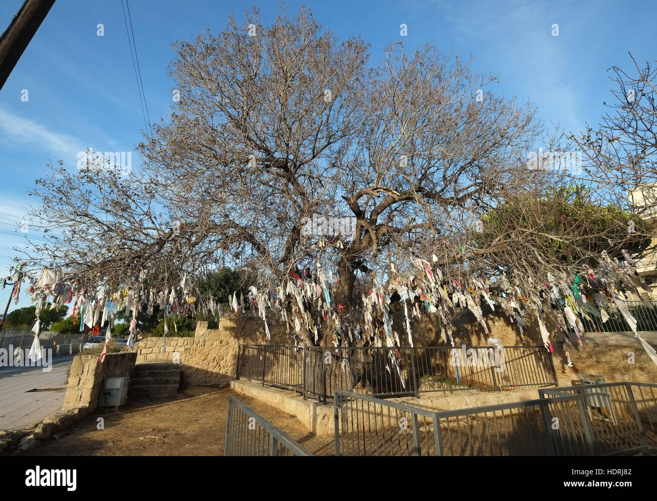 Un grand pistachier à l'entrée de la station de métro catacombes d'Agia Solomoni à Kato Paphos, décoré d'objets avec des morceaux Banque D'Images