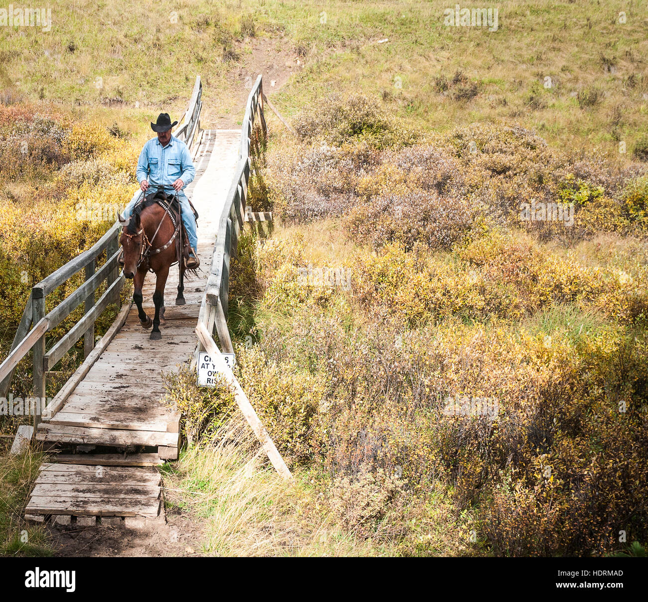 Cowboy et horse crossing bridge, le comté de Clearwater ; Alberta, Canada Banque D'Images