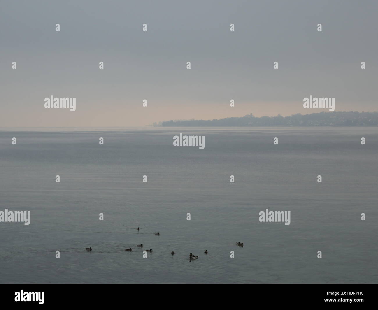 Le lac de Constance dans le brouillard Banque D'Images