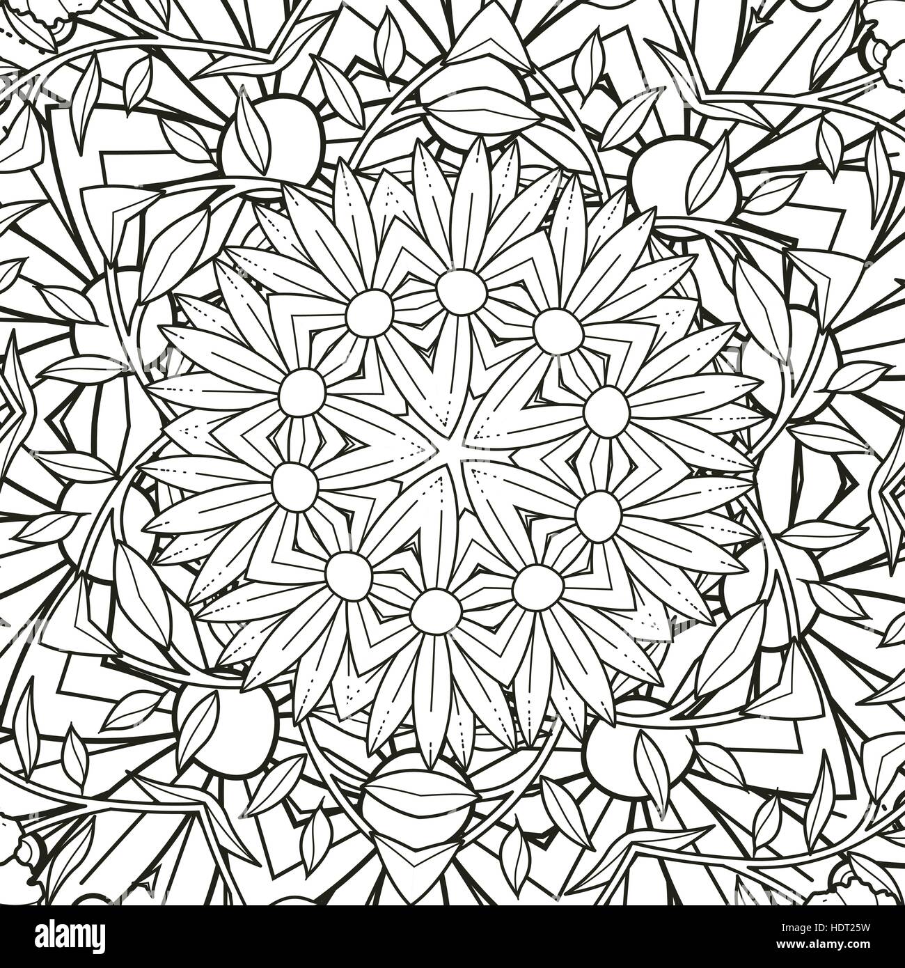 Mandala Exquis Dessin En Noir Et Blanc Vecteurs Et