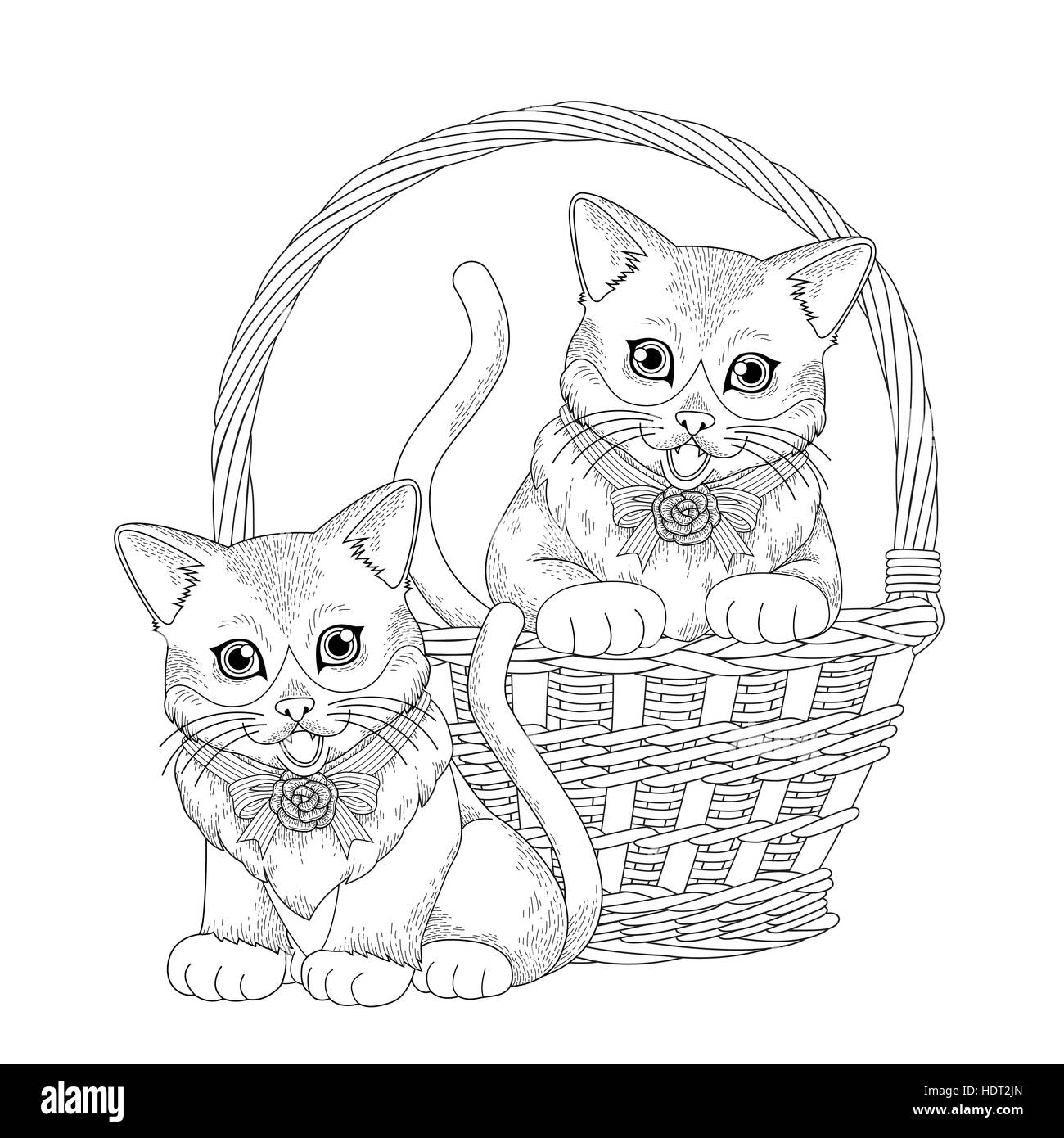 Panier de chat Banque d'images vectorielles - Alamy