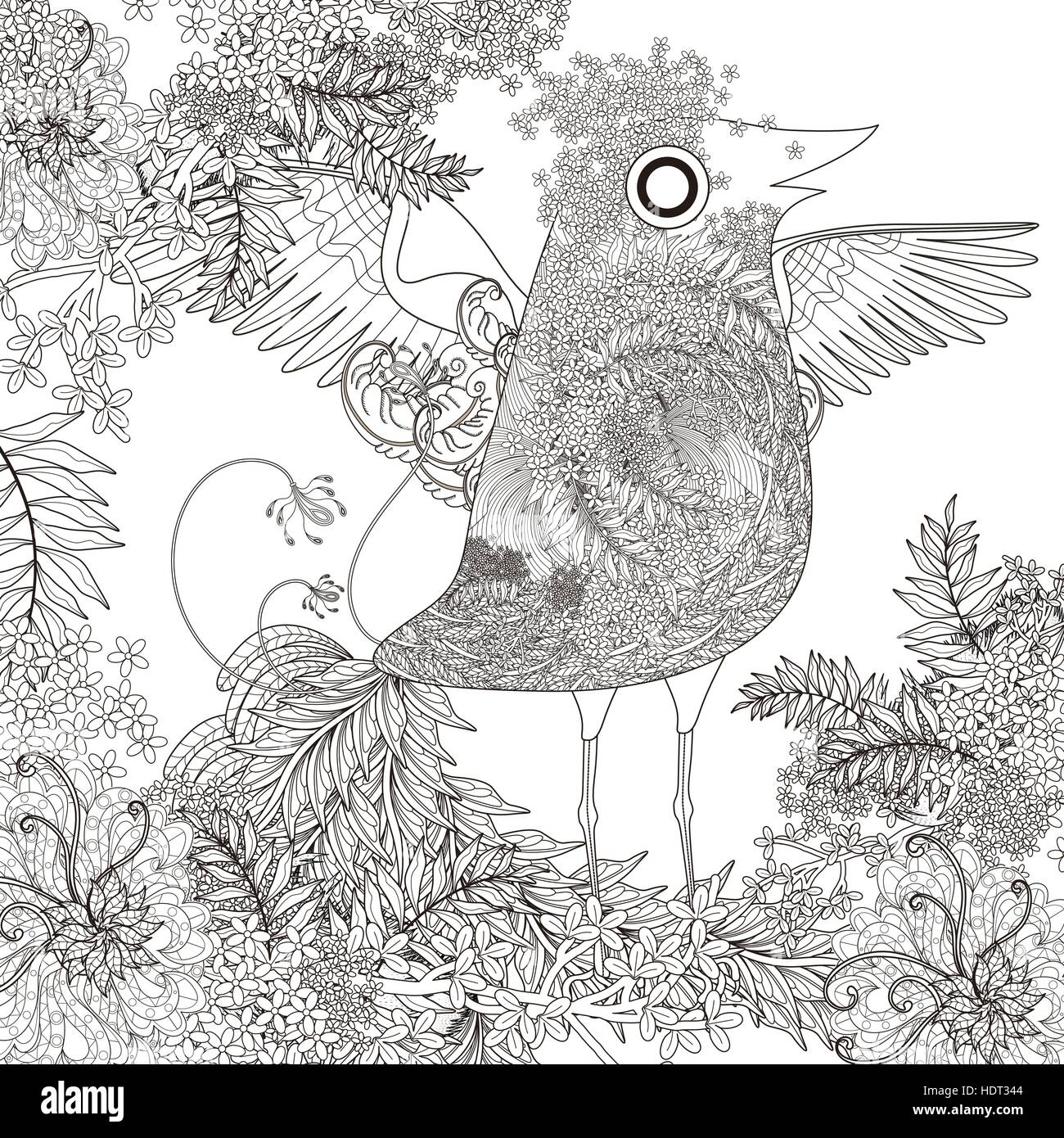 Funny bird coloriage avec éléments floraux Illustration de Vecteur
