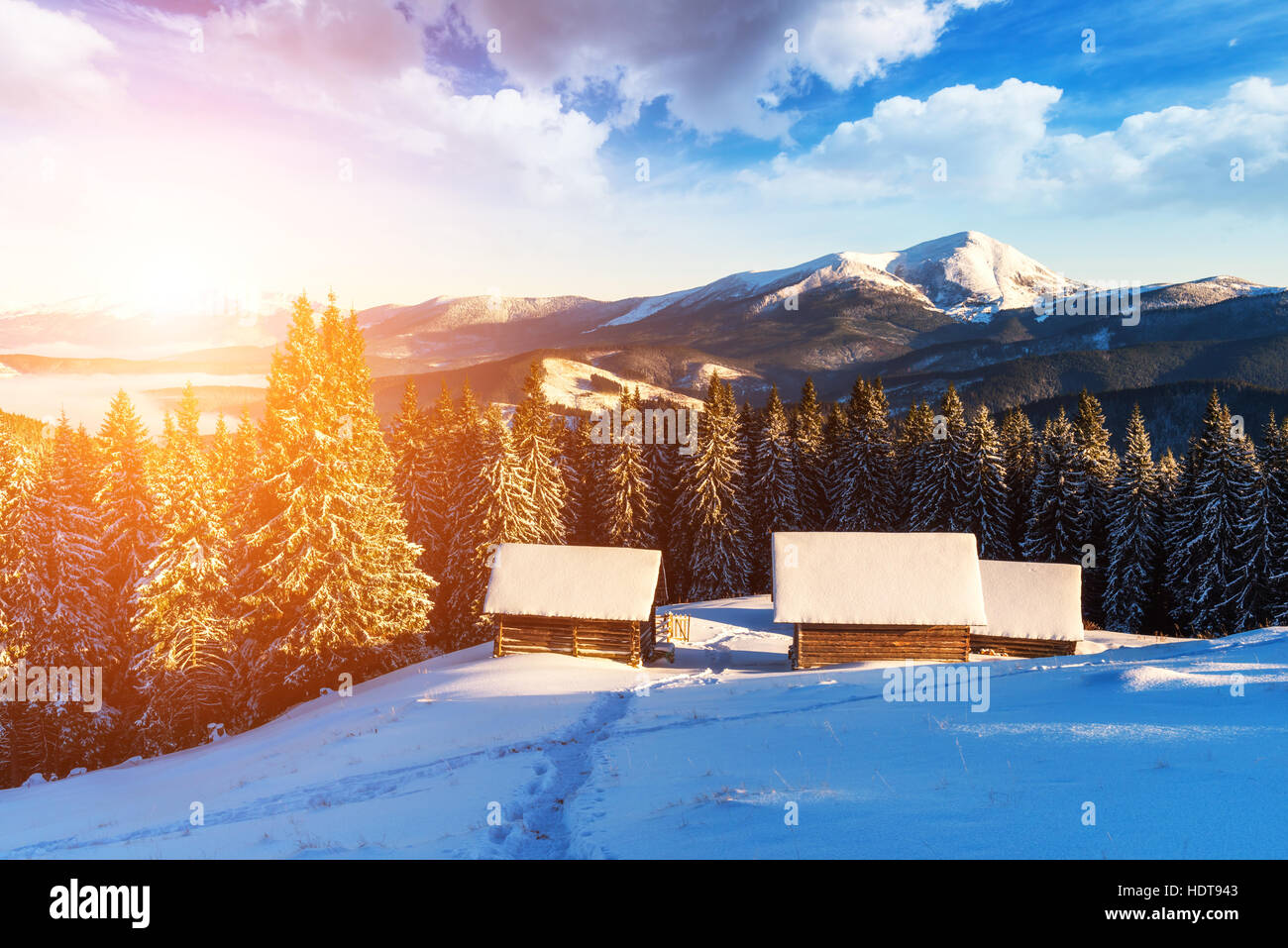 Soirée fantastique paysage rose brillant par la lumière du soleil. Scène hivernale spectaculaire avec snowy chambre. Carpates, l'Ukraine, l'Europe. Banque D'Images