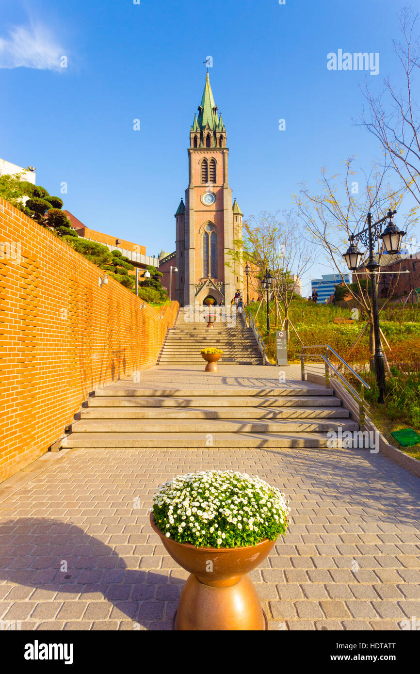 Plante en pot au pied des marches menant à la Cathédrale Myeongdong sur un ciel bleu jour à Séoul, Corée du Sud Banque D'Images