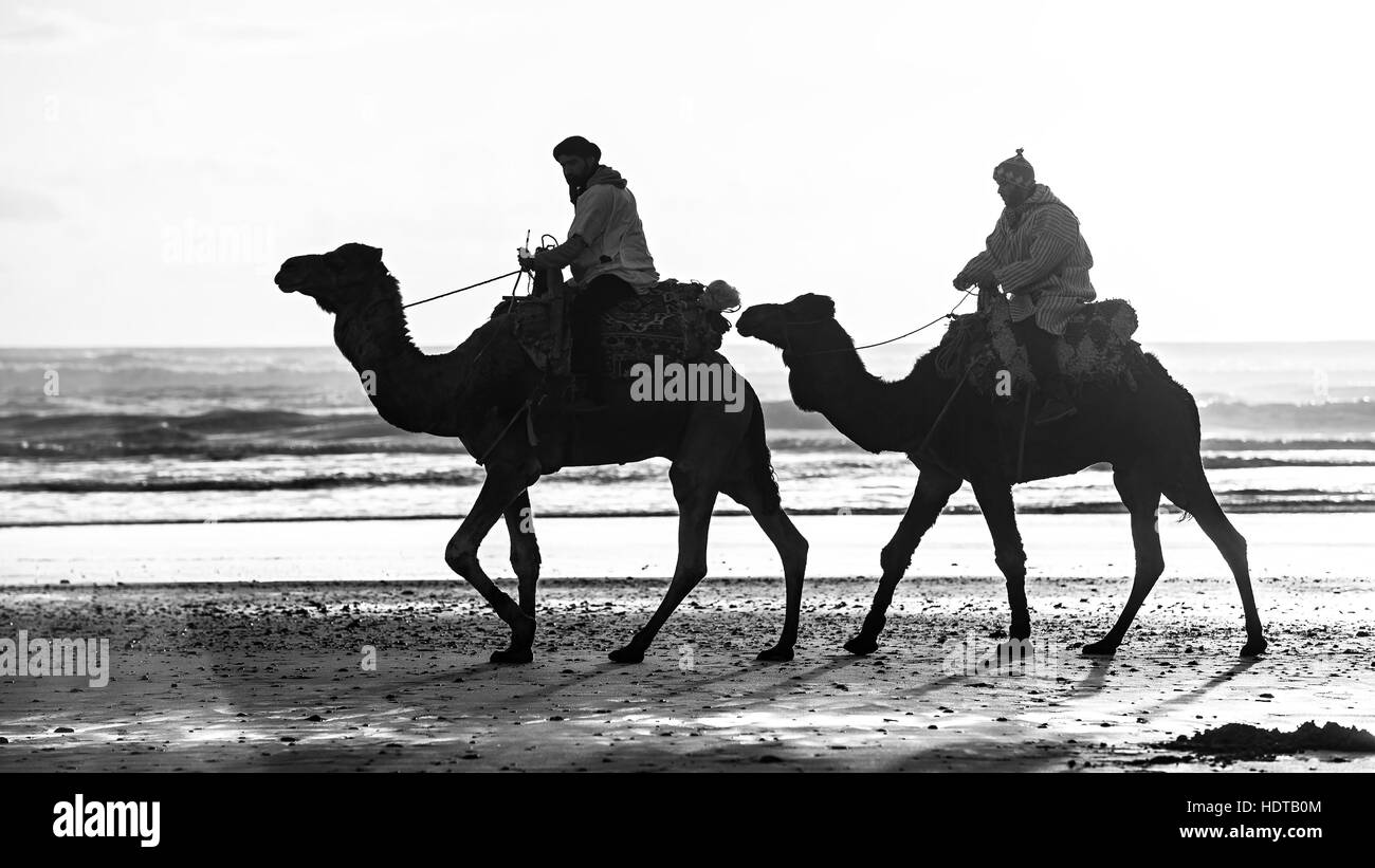 Silhouette de deux bédouins sur la plage au coucher du soleil au Maroc Banque D'Images