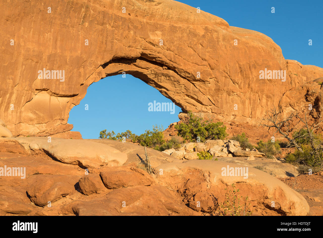 Arche naturelle du Sud, fenêtre, Arches National Park, Utah, USA Banque D'Images