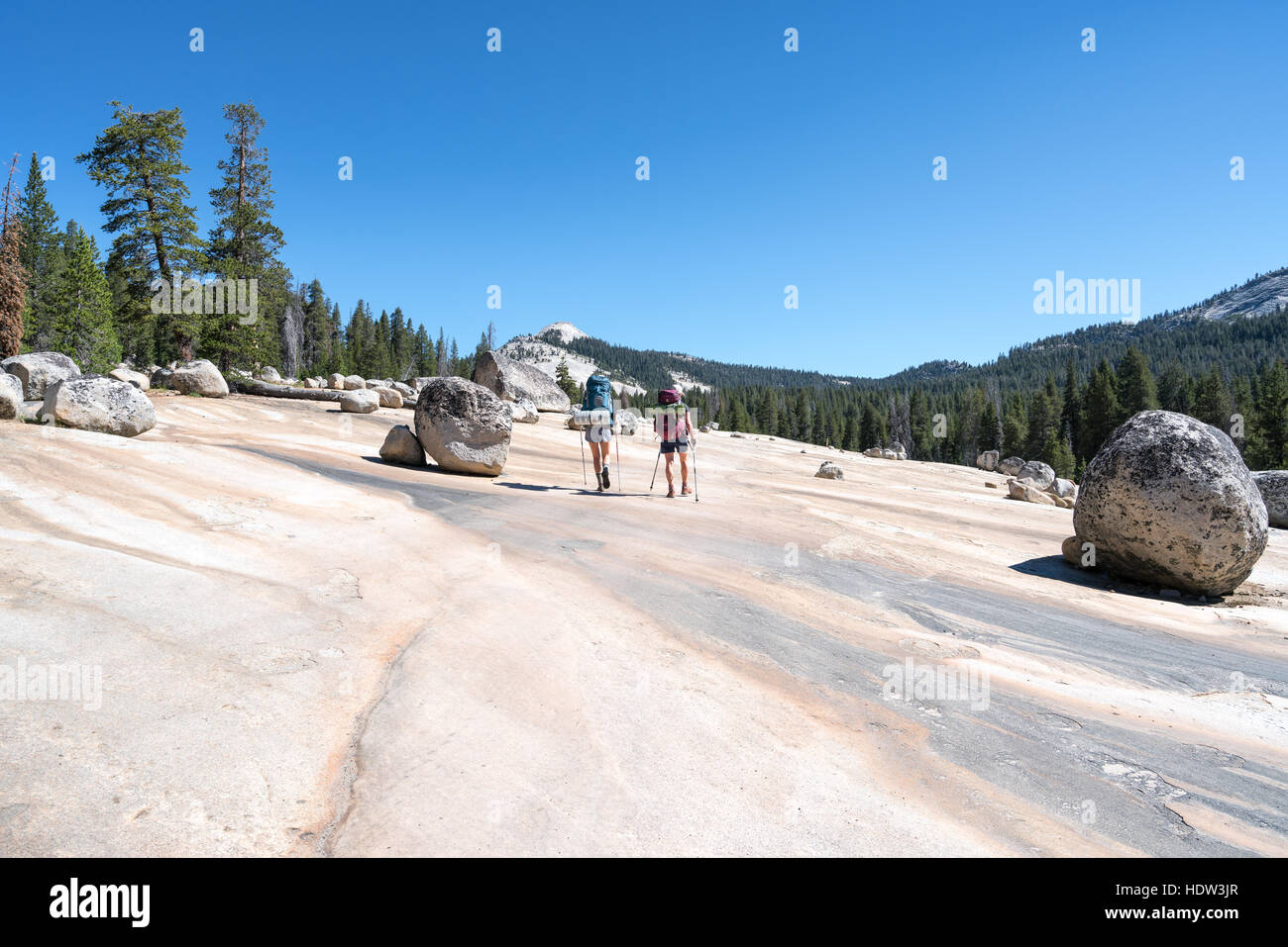 Sierra National Forest, Californie, États-Unis d'Amérique, Amérique du Nord Banque D'Images
