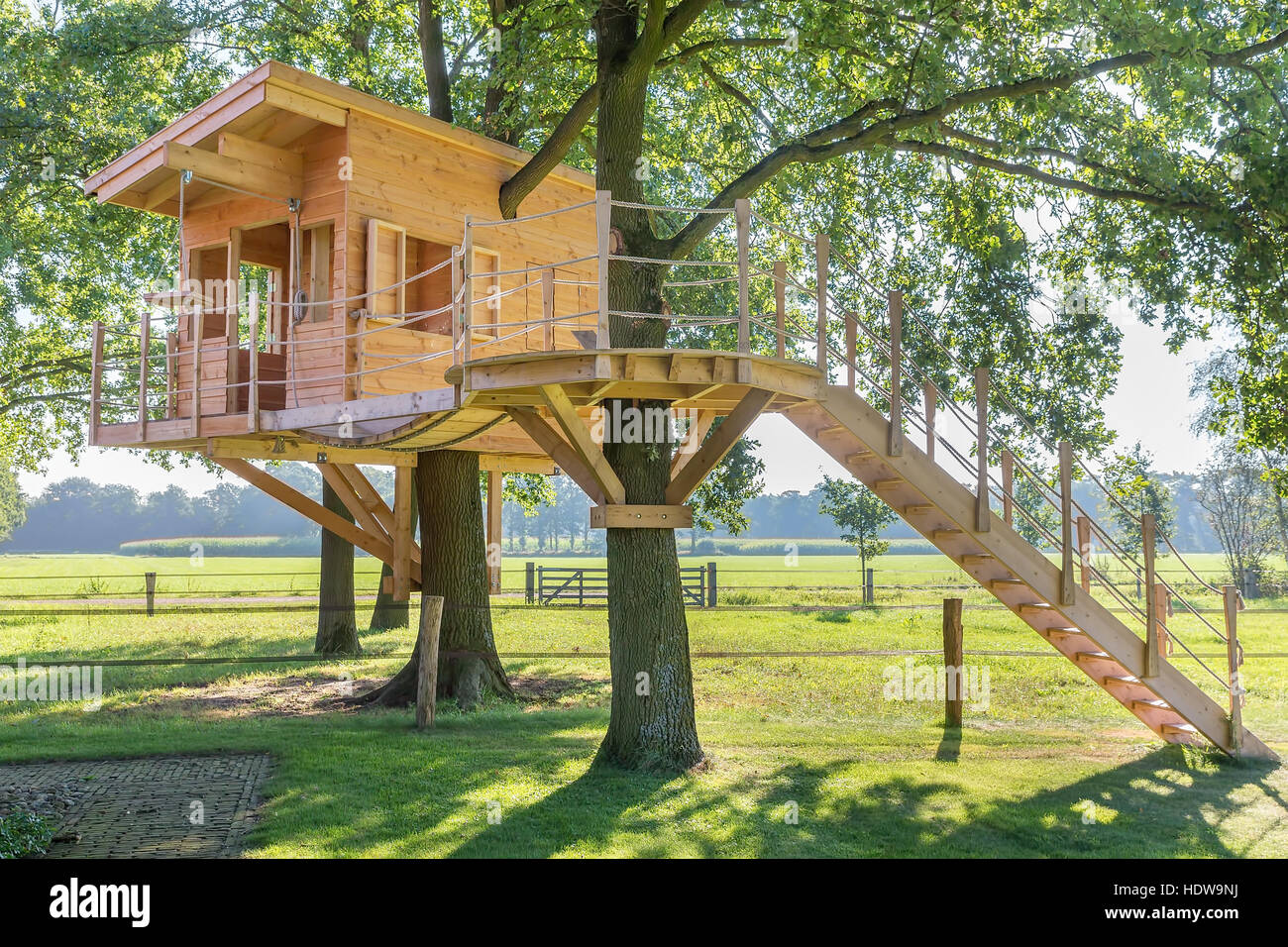 Arbre en bois récemment construit dans le bois de chêne de pâturages Banque D'Images