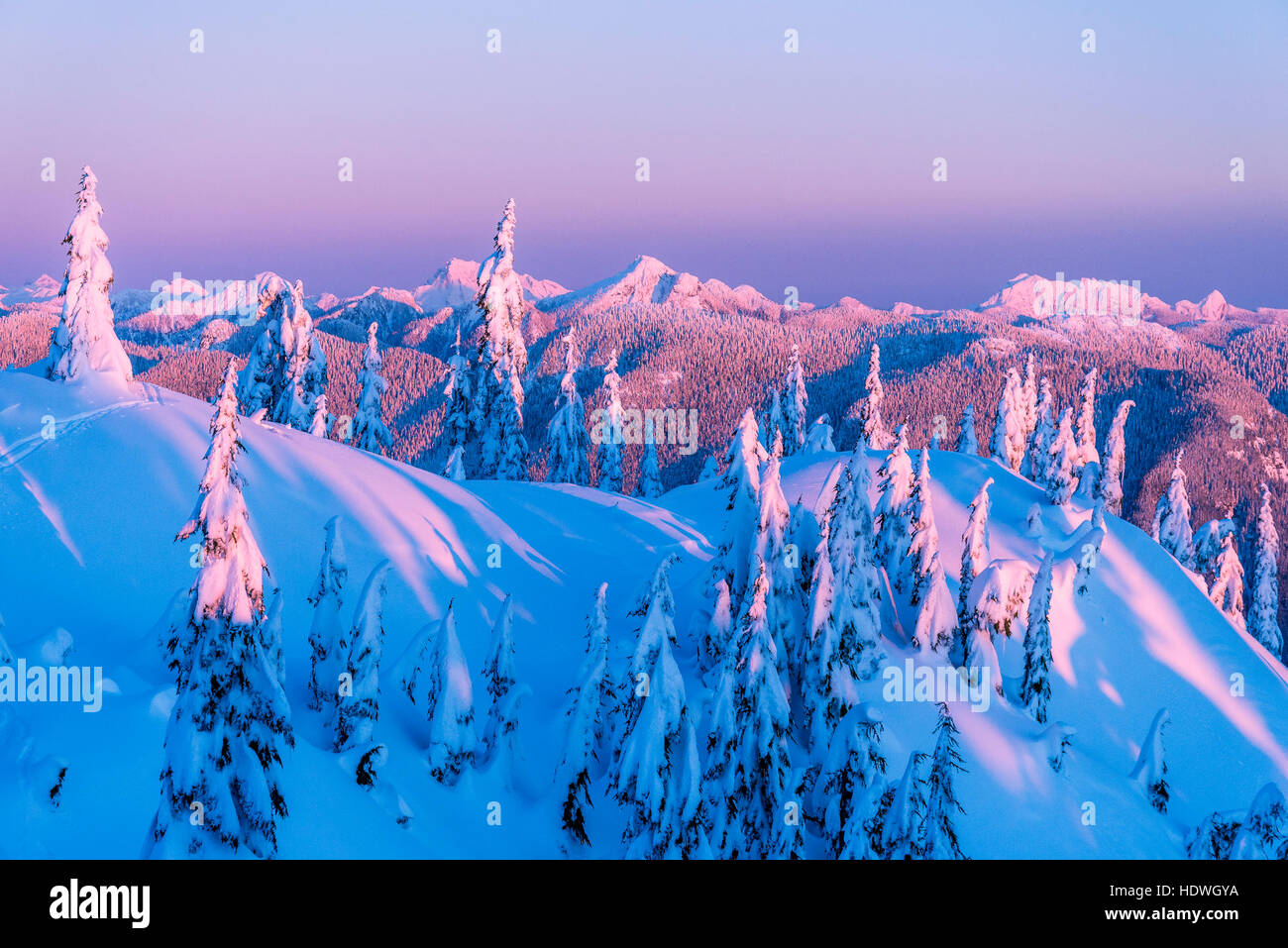 Le Parc provincial Mount Seymour, North Vancouver, Colombie-Britannique, Canada. Banque D'Images