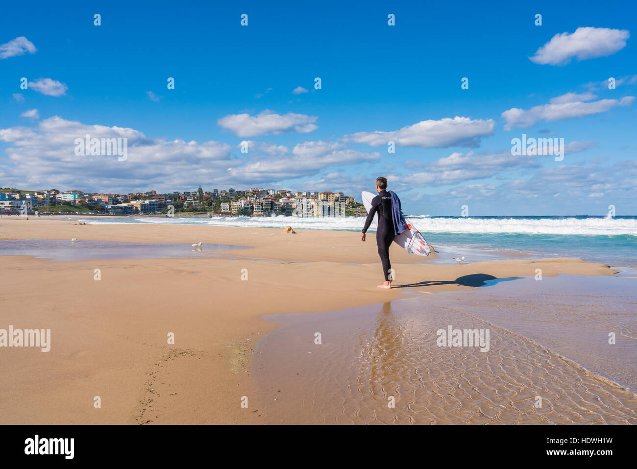 Surfer à Sydney Bondi Beach, Australie Banque D'Images
