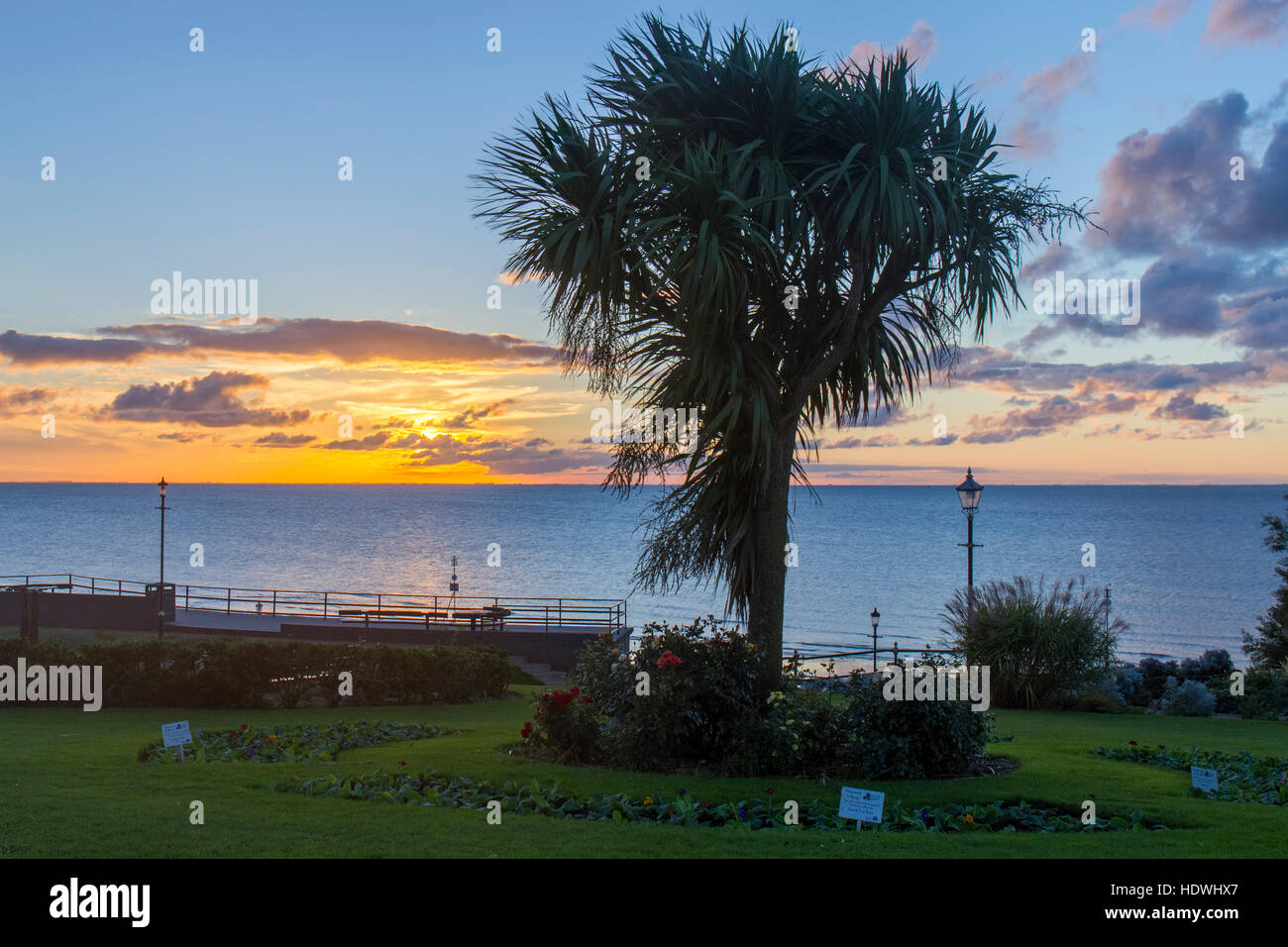 Vue sur le coucher du soleil et un palmier dans un parc en bord de mer. Norfolk Hunstanton. L'Angleterre. Octobre. Banque D'Images
