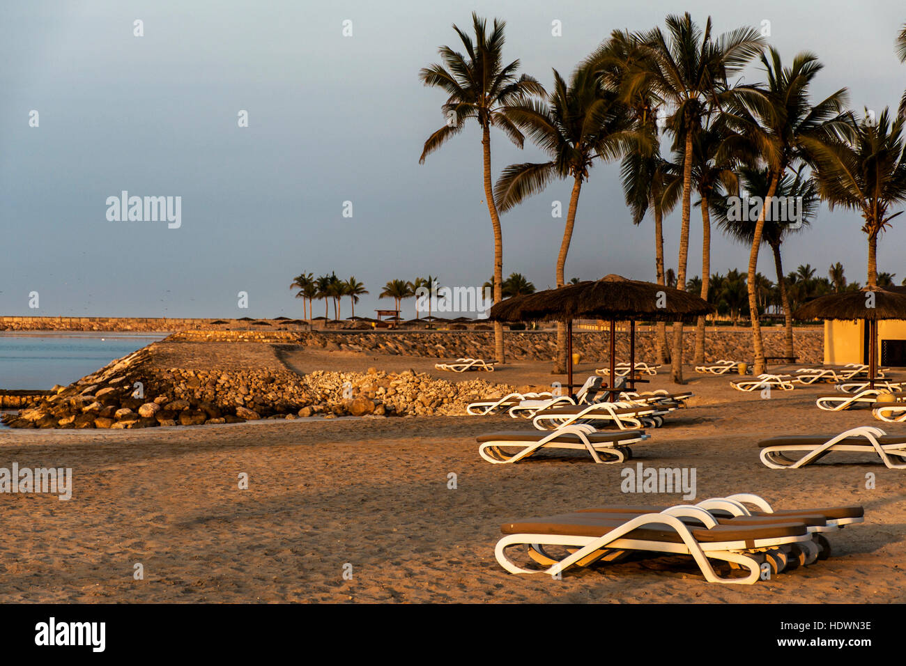 Incroyable Coucher de soleil plage de palmiers à Oman Salalah Banque D'Images