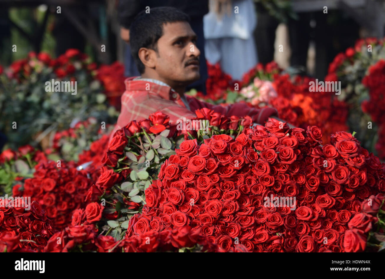 Un Paki Avec Un Bouquet De Rose Lahore, Punjab, Pakistan. 14 Décembre, 2016. Grossistes Fleur pakistanais  affiche des roses fraîches et de guirlandes pour attirer les clients au  marché aux fleurs(Phool Mandi) à Lahore le 14 décembre 2016. La
