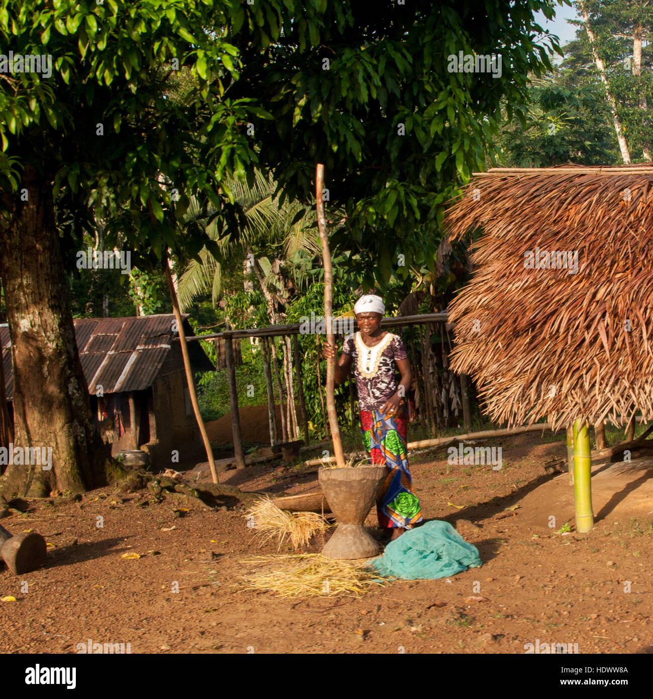 Femme pilant du riz dans du mortier. Important ustensile de cuisine en Sierra Leone: De grandes quantités peuvent également être écrasées dans le mortier Banque D'Images