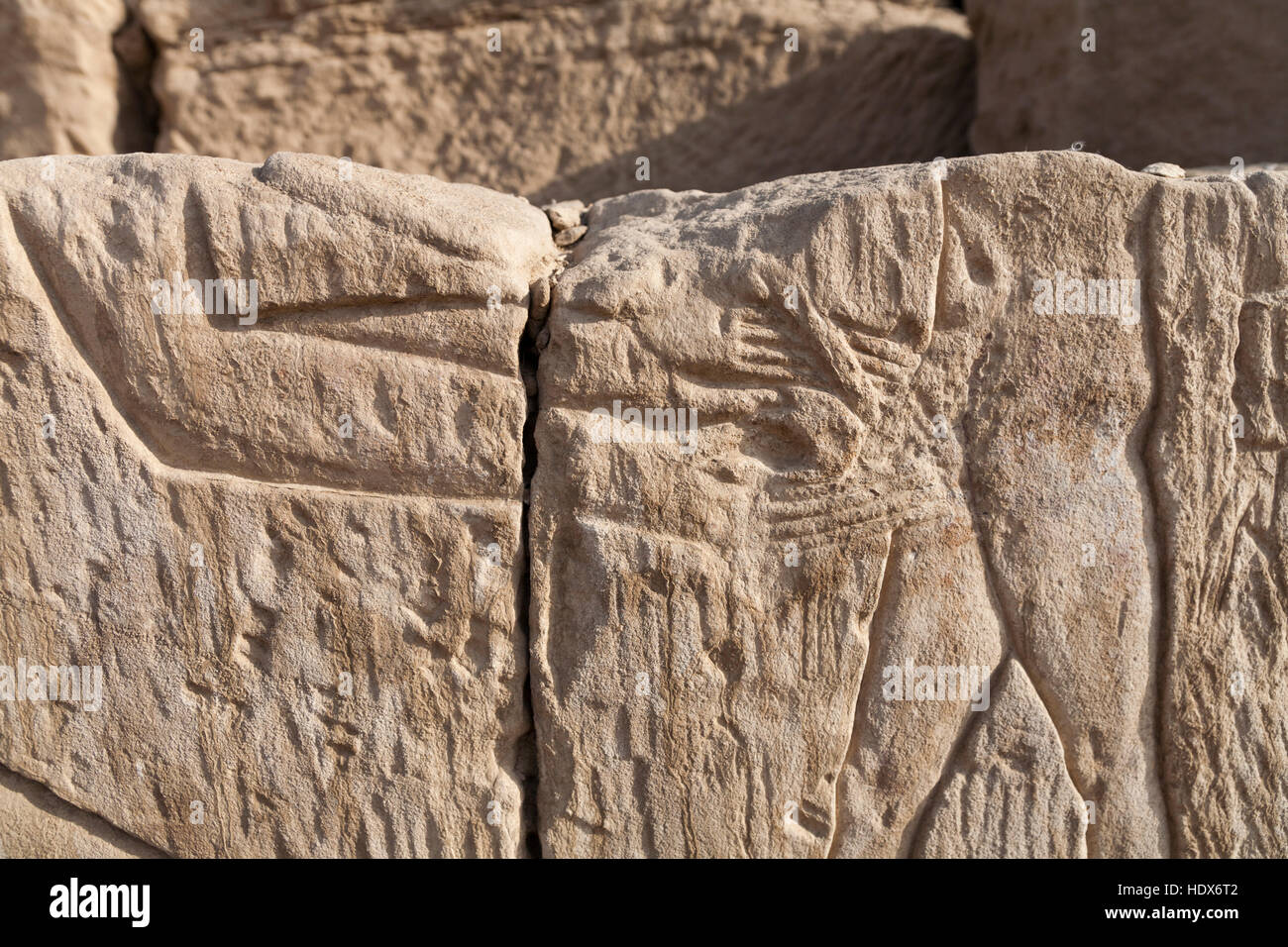 Soulagement de la circoncision des scènes dans le temple de Mout le Grand à Karnak, Louxor, Egypte Afrique du Nord Banque D'Images