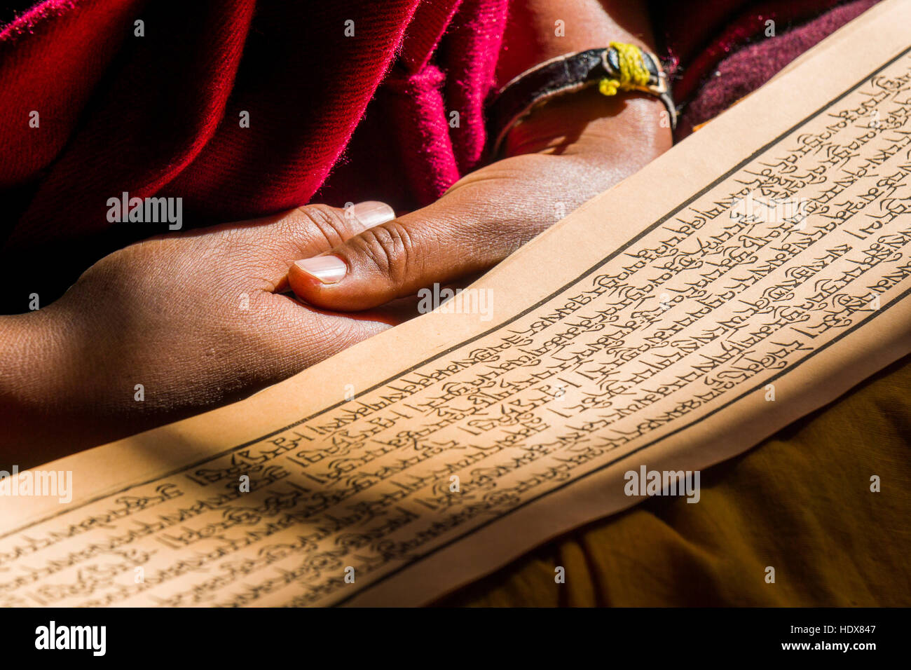 Un moine est en train de lire un livre de prières à l'intérieur du monastère thupten chholing gompa, détail du livre de prières et ses mains Banque D'Images