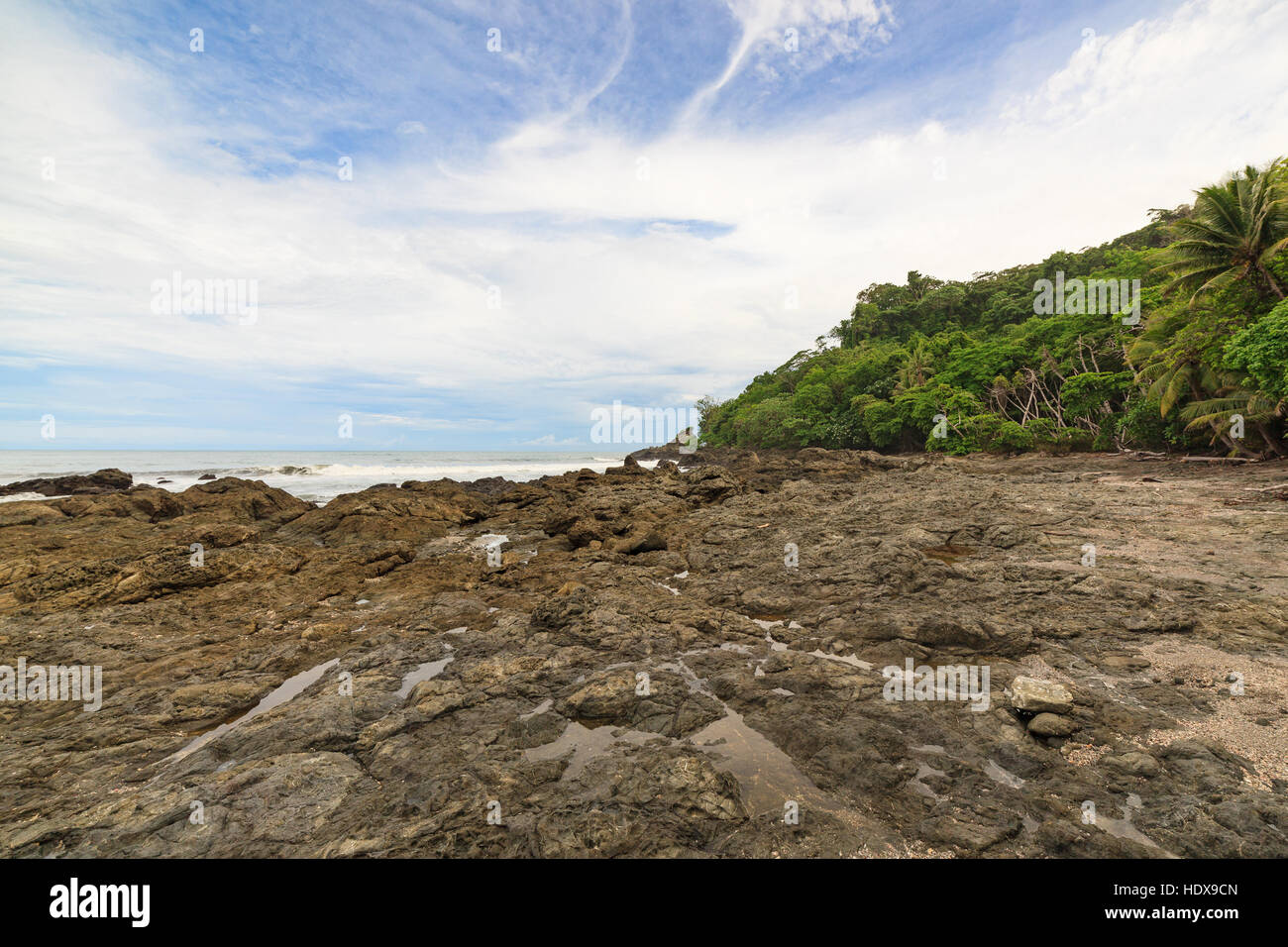Plage de rochers et arbres Costa Rica Banque D'Images