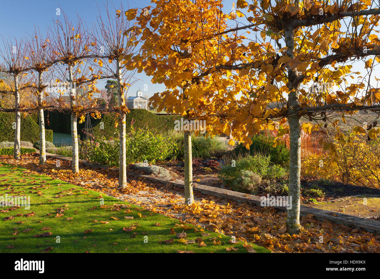 Jardins de Brightwater, Saxby, Lincolnshire, Royaume-Uni. L'automne, en novembre 2016. Banque D'Images