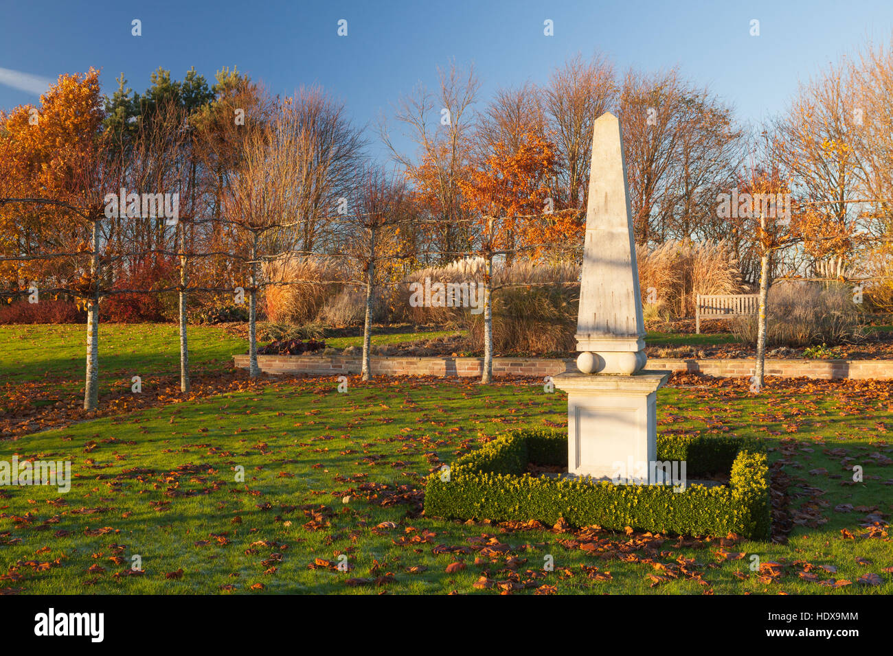 Jardins de Brightwater, Saxby, Lincolnshire, Royaume-Uni. L'automne, en novembre 2016. Banque D'Images