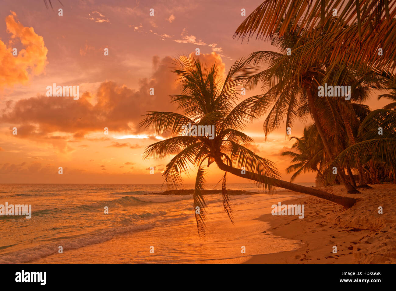 Coucher du soleil à Dover Beach, St Lawrence Gap, Côte Sud, Barbade, Caraïbes. Banque D'Images