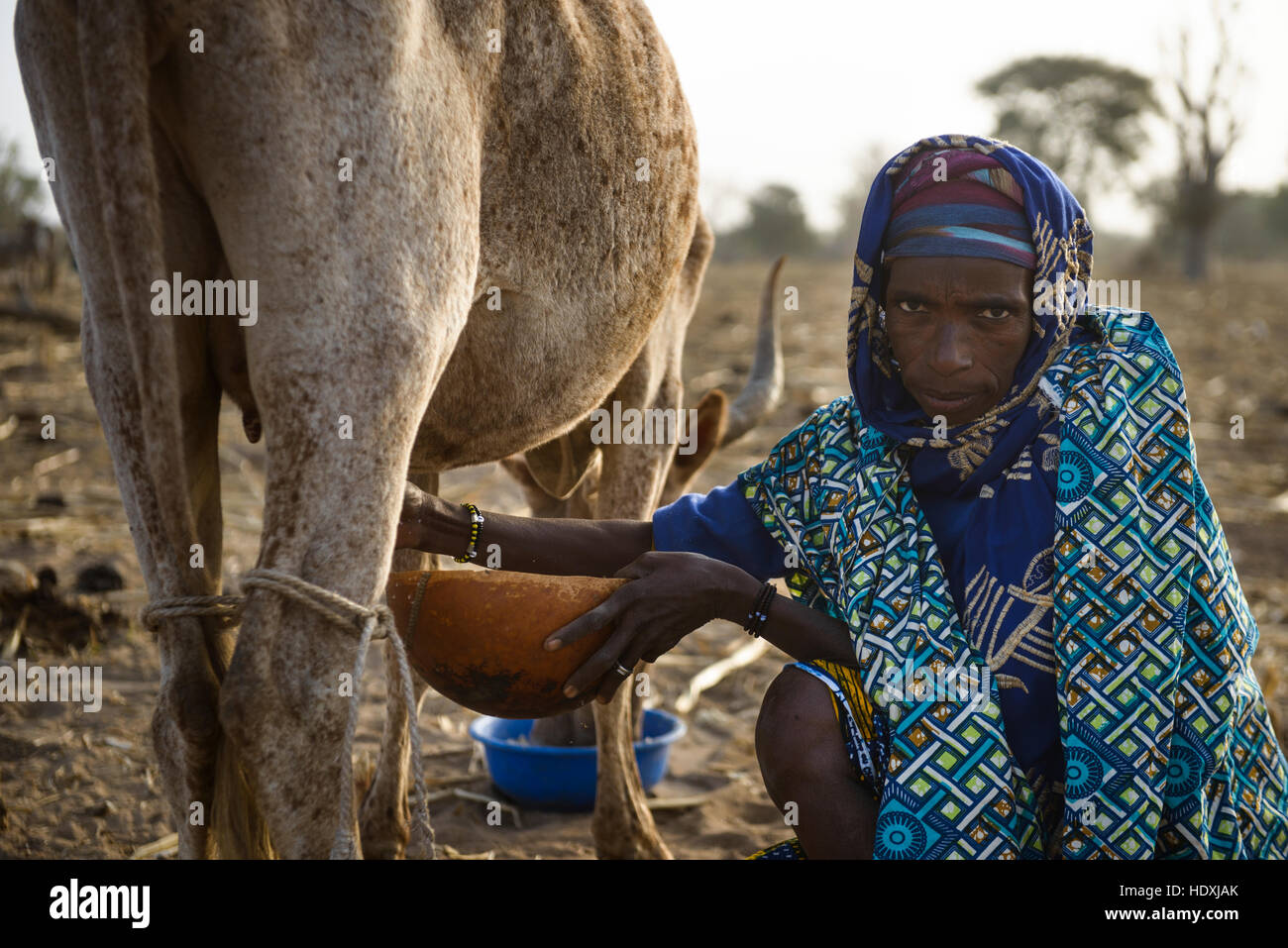 La vie rurale dans un village Peul du Sahel, dans le nord-est du Burkina Faso Banque D'Images
