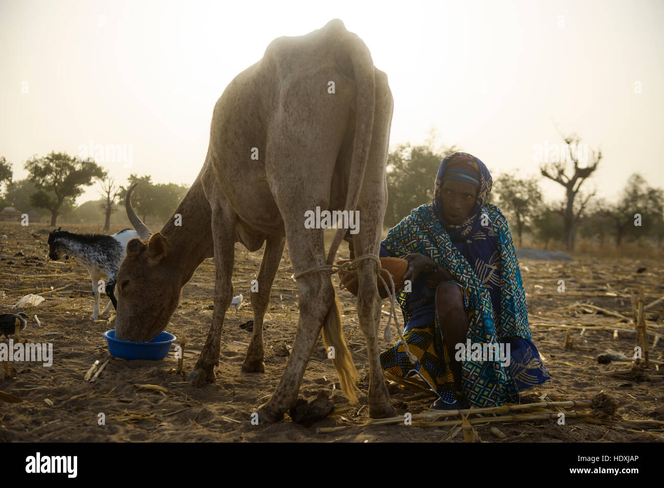 La vie rurale dans un village Peul du Sahel, dans le nord-est du Burkina Faso Banque D'Images