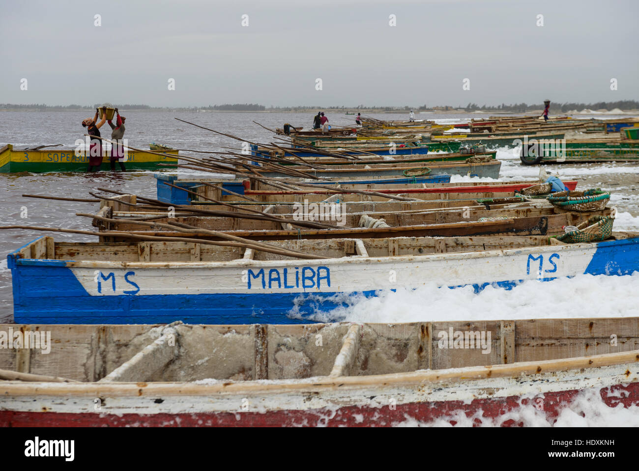 Lac Rose, au Sénégal Banque D'Images
