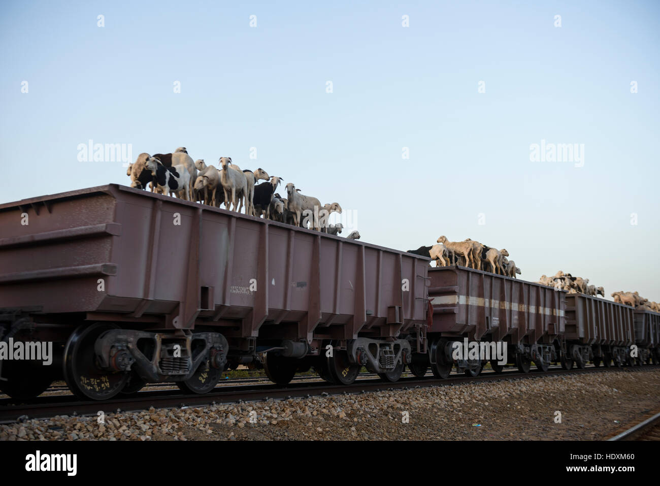 Le train le plus long au monde fonctionnant à partir d'Nouadibhu Zerouat, Mauritanie, Banque D'Images