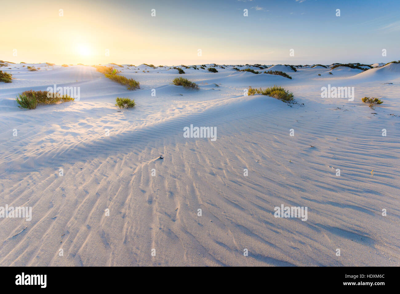 Sahara occidental Banque D'Images