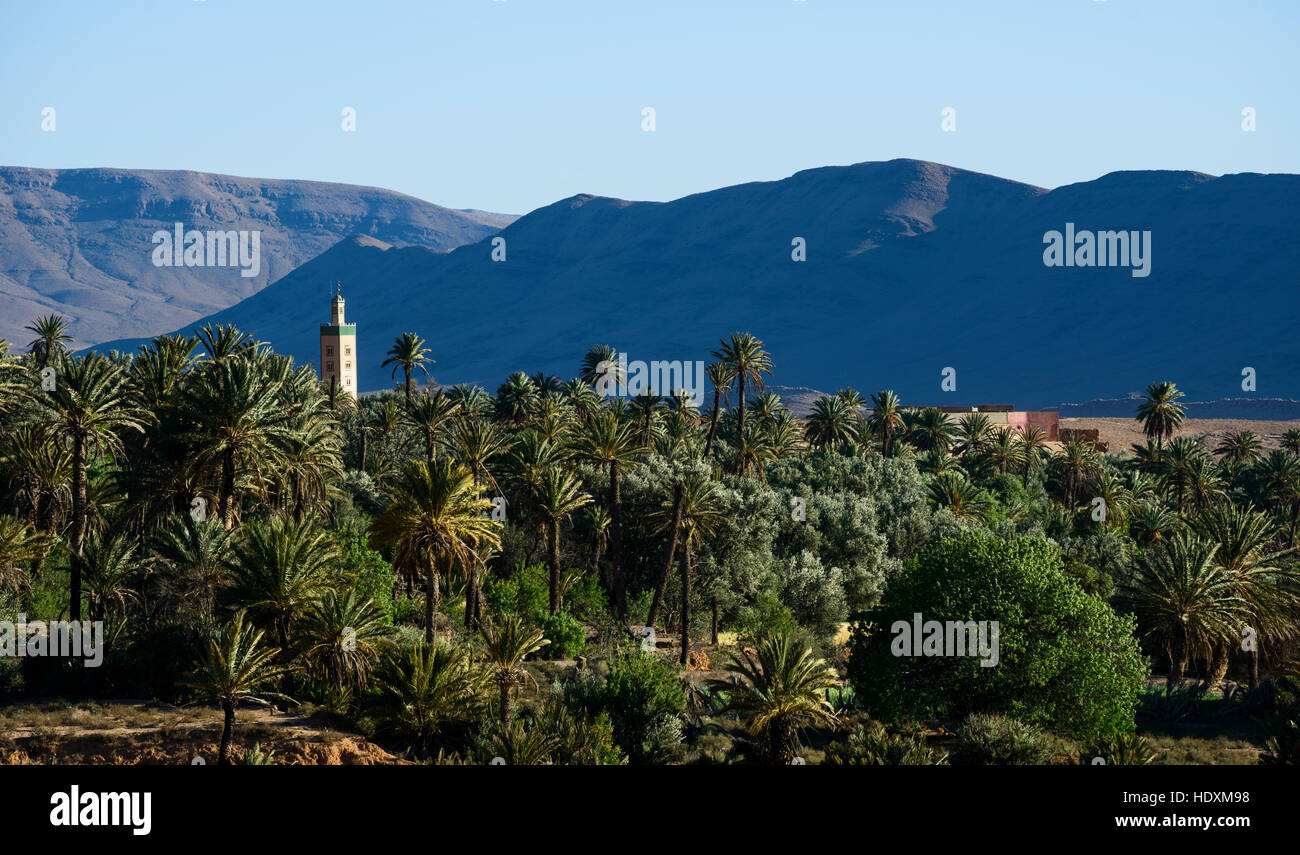 Les villages de l'anti-atlas, Maroc Banque D'Images