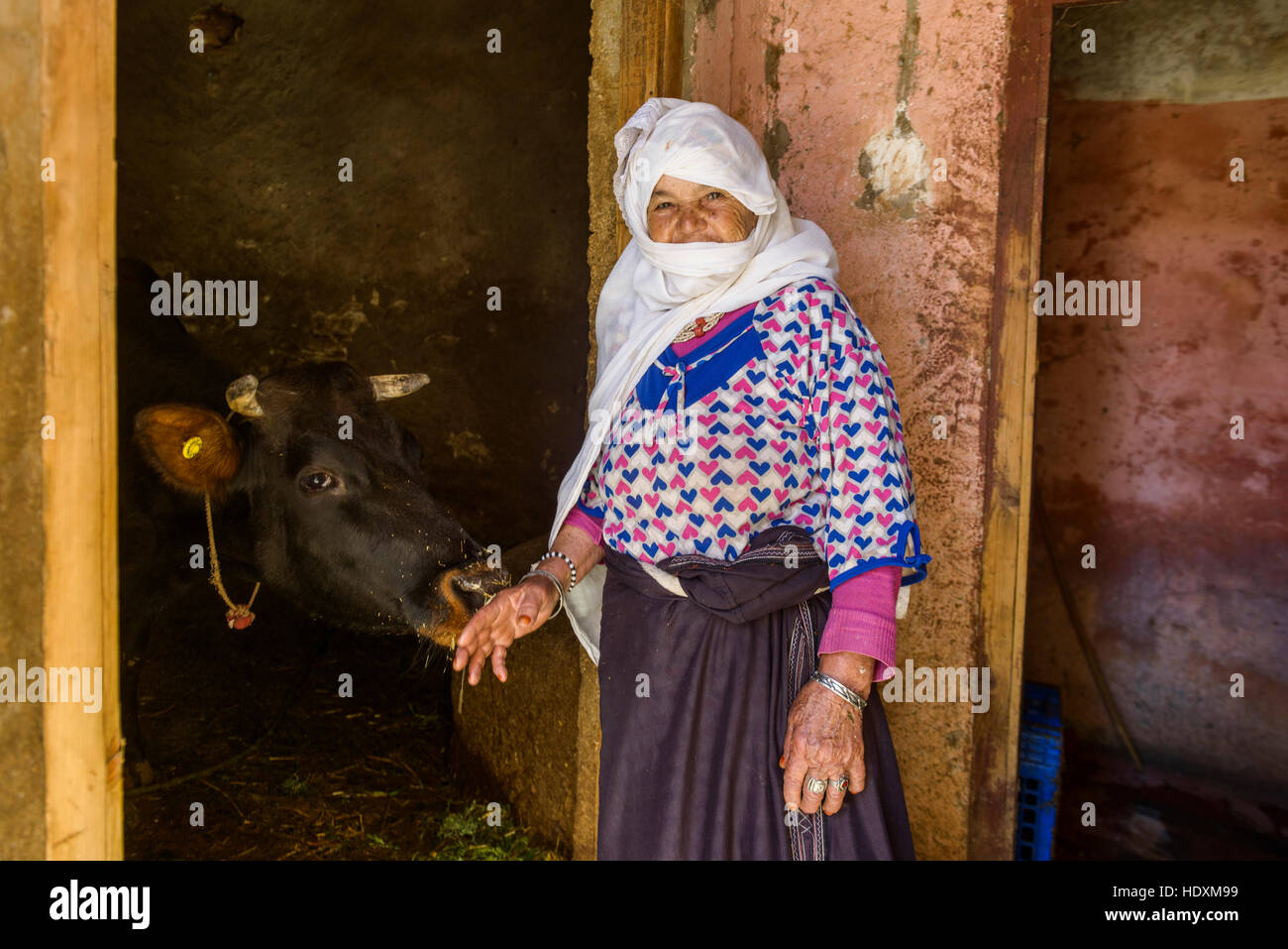Les gens de l'anti-atlas, Maroc Banque D'Images