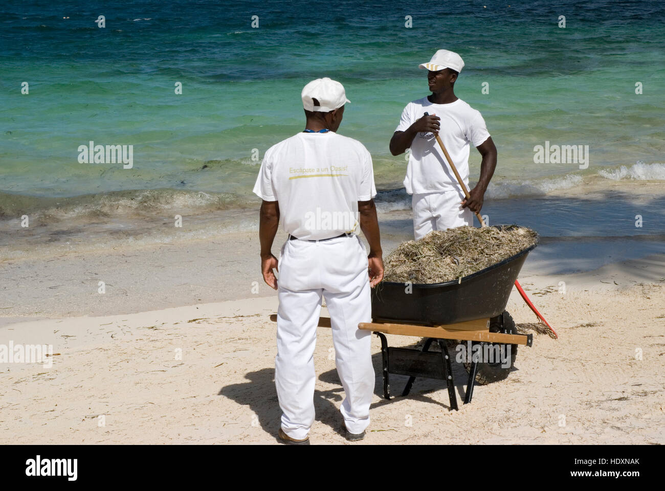 Nettoyage d'une plage, à Punta Cana, République dominicaine, Amérique Centrale Banque D'Images