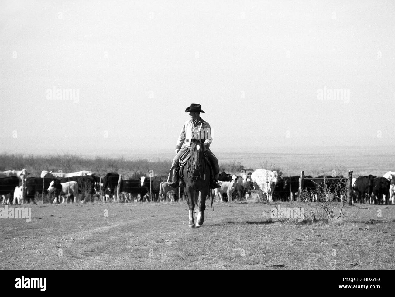 Avec : Johnny Hill riding a horse au Camp de sable, Clarendon, TEXAS (numérisation à partir de b&w négatif) Circa 1998 Banque D'Images