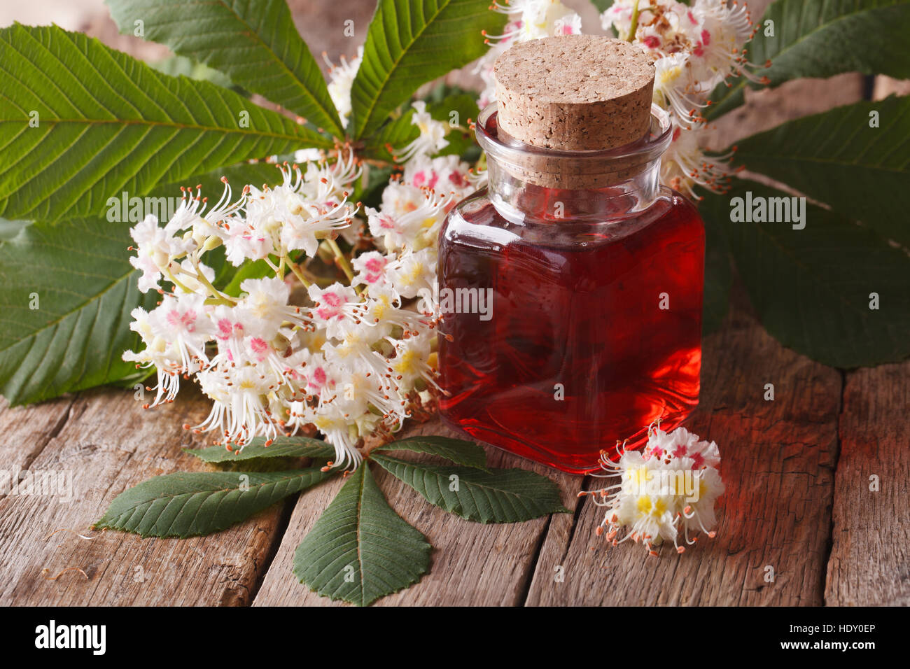 L'extrait des fleurs de châtaigniers dans la bouteille sur la table horizontale macro. Banque D'Images