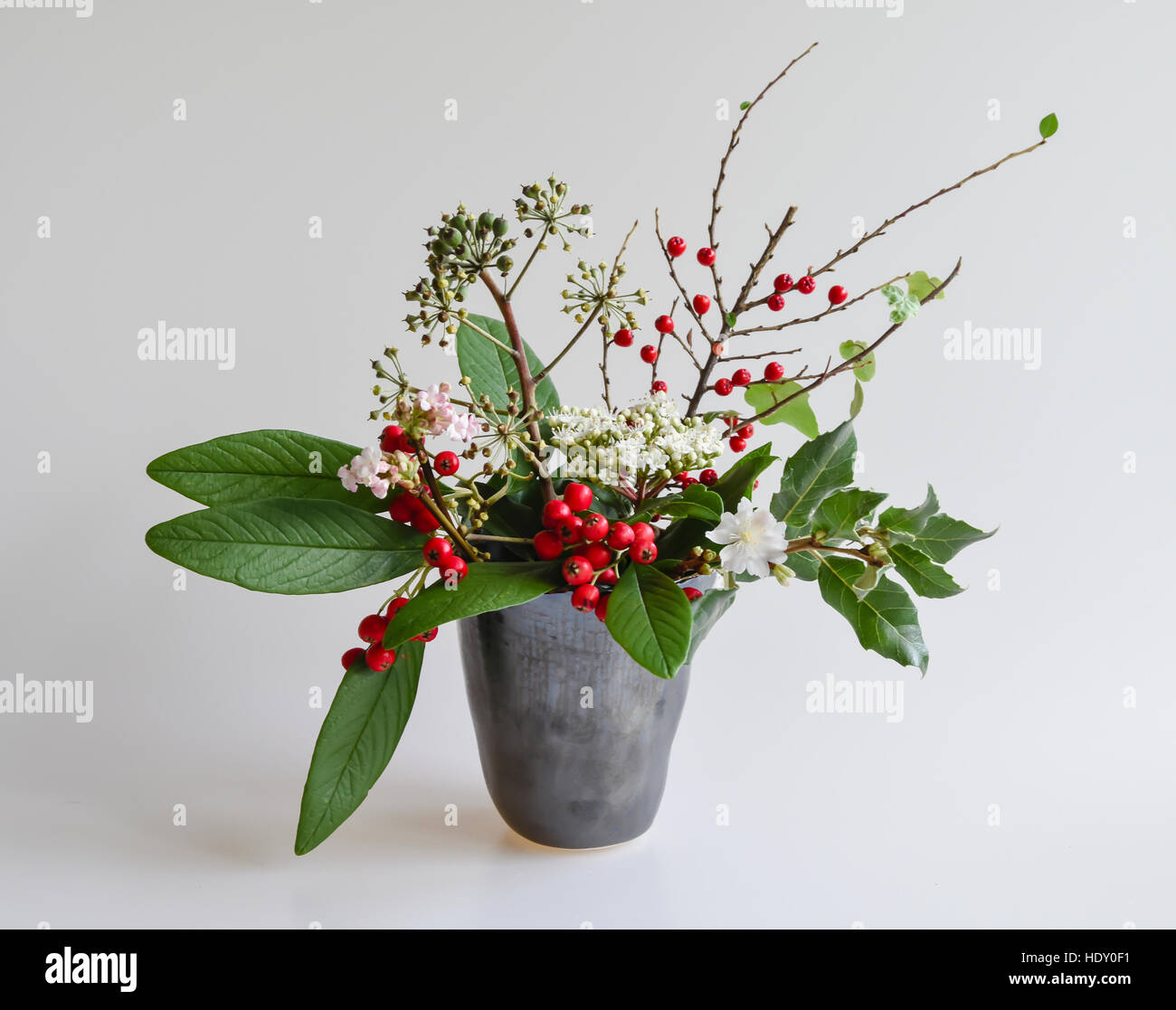 Baies d'hiver, le feuillage et les fleurs dans un vase en céramique 'Studio'. Cotoneaster,, Garrya, fleurs de lierre, Viburnum et cerisier. Banque D'Images