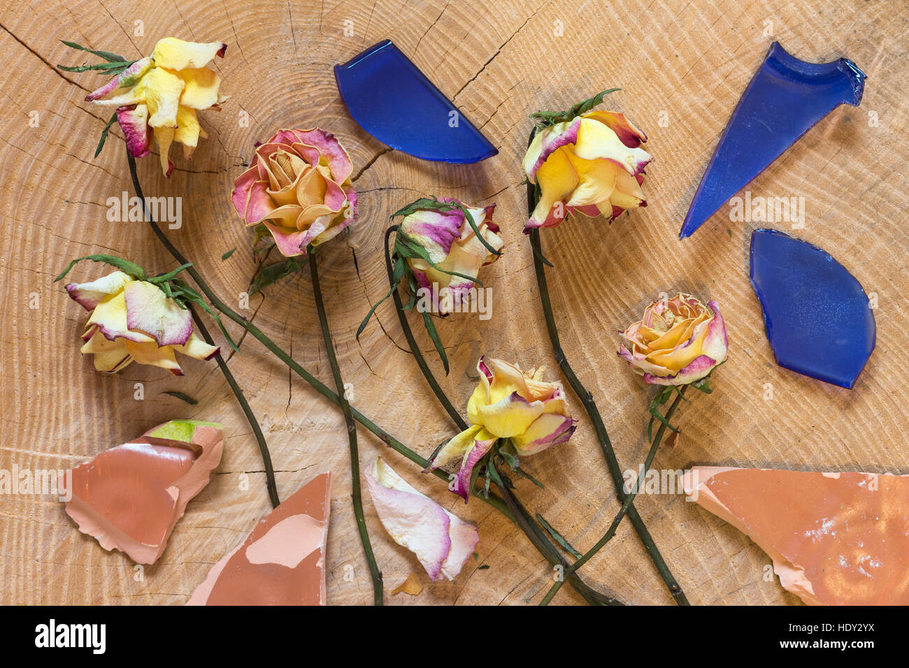 Roses fanées avec morceaux cassés sur fond de bois comme image symbolique pour le temps et l'éphémère de la vie et de la mort Banque D'Images