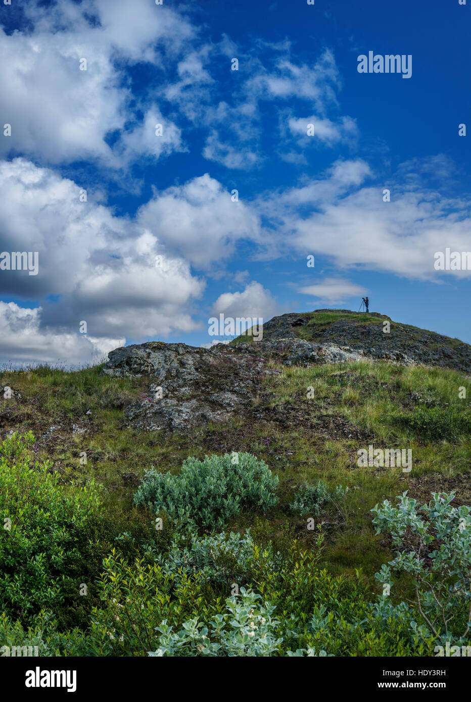 L'été, Skutustadagigar pseudo cratères, zone Skutustadir, le lac Myvatn, le nord de l'Islande Banque D'Images