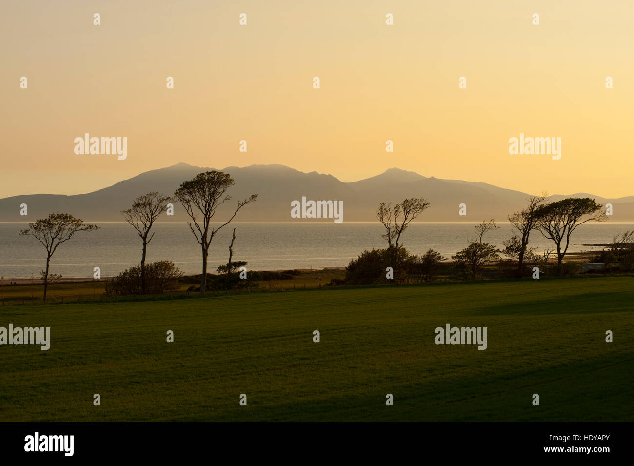 Les collines d'Arran avec les arbres en premier plan pris près de Portencross Ayrshire, Ecosse. Banque D'Images