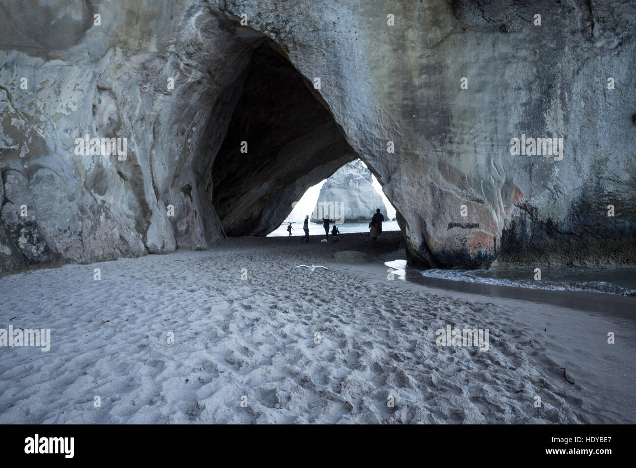 Plage de la cathédrale et 'Te Hoho Rock' péninsule de Coromandel, île du Nord, en Nouvelle-Zélande. Banque D'Images