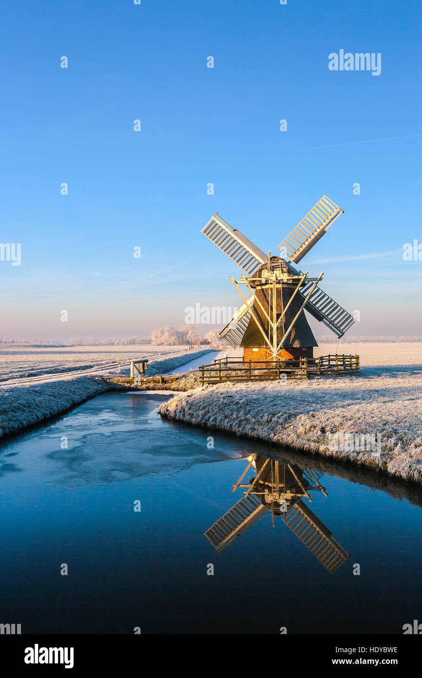 Paysage d'hiver avec l'agneau blanc Moulin près de Zuidwolde dans la province de Groningue, Pays-Bas Banque D'Images