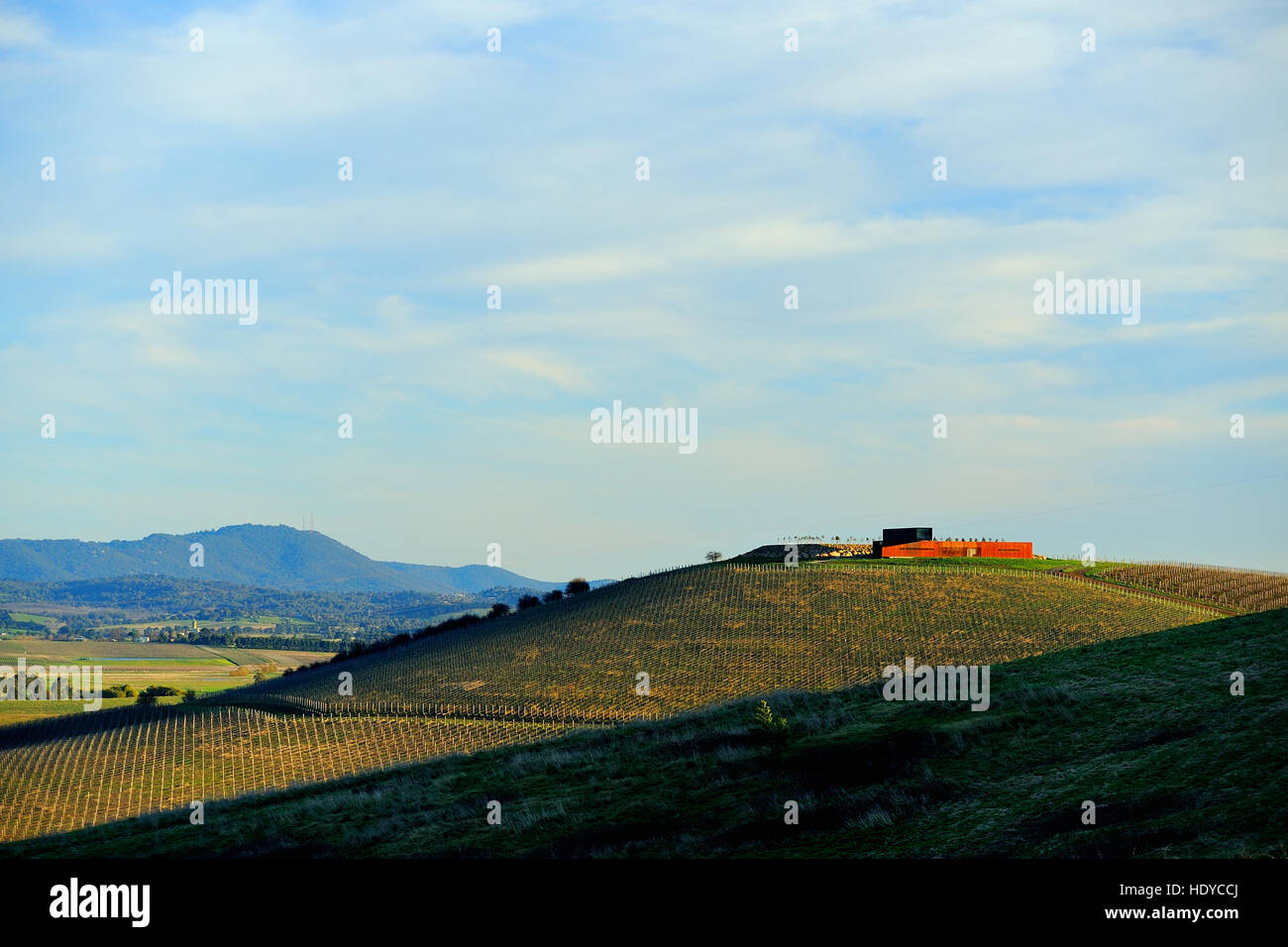 Vignoble dans la vallée de Yarra et cave à vin sur une colline Banque D'Images