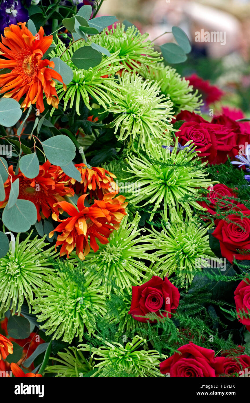 Arrangement de fleurs de roses, gerbera et chrysanthèmes Banque D'Images