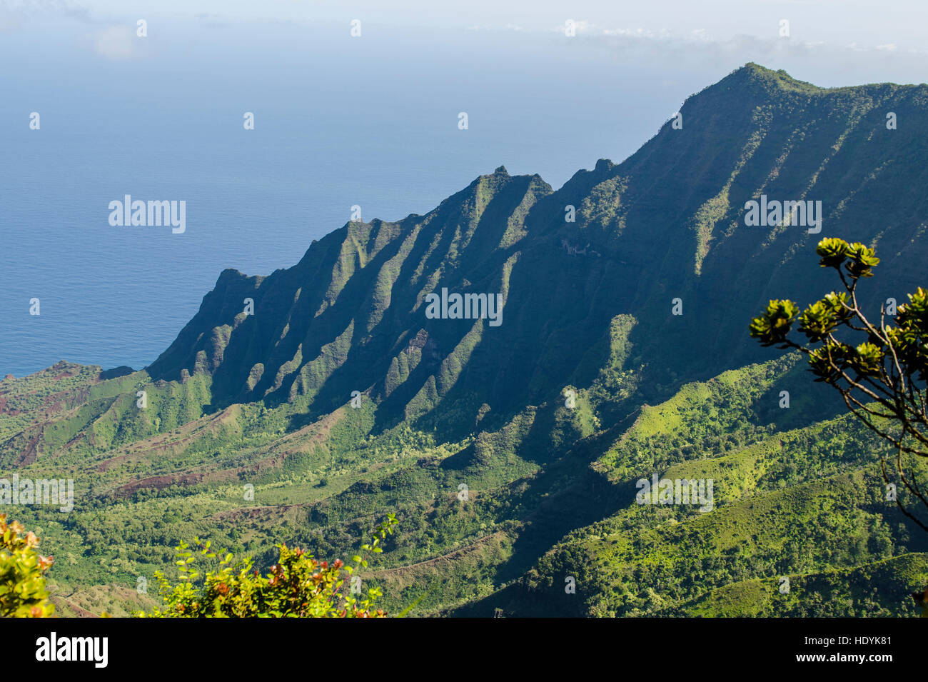 Kalalau Valley, Napali Coast State Park Kauai, Hawaï. Banque D'Images