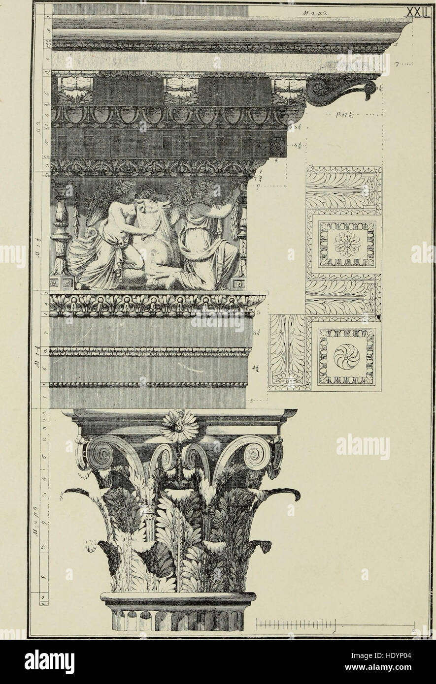 Un traité de 1889 sur les cinq ordres classiques de l'architecture, explorant leurs caractéristiques, leur signification historique et leur application dans la conception des bâtiments. Banque D'Images