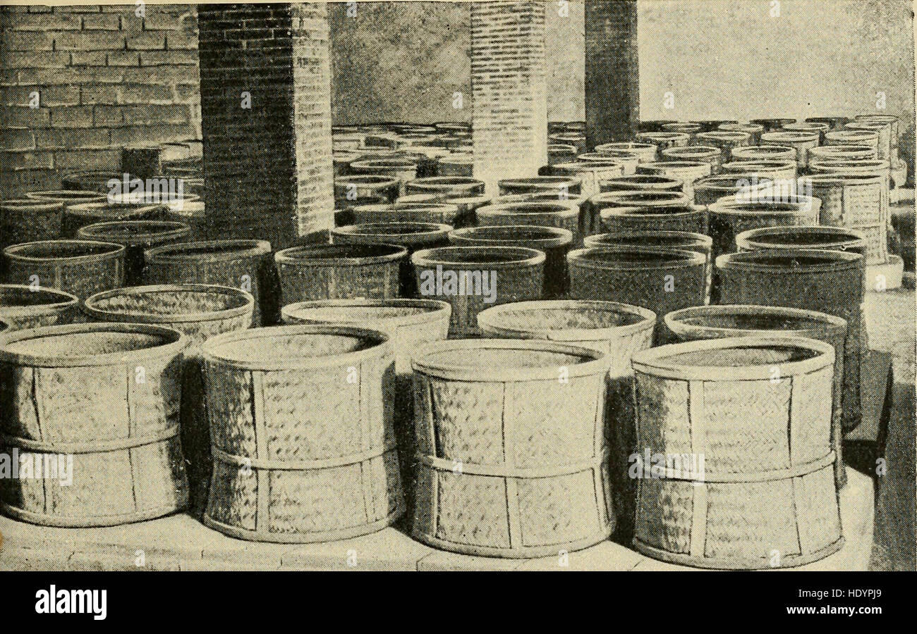 Cette publication de 1889 met en lumière l'histoire et les pratiques commerciales de Chase et Sanborn, une entreprise connue pour ses produits de café et de thé, examinant son rôle sur le marché américain à la fin du XIXe siècle. Banque D'Images