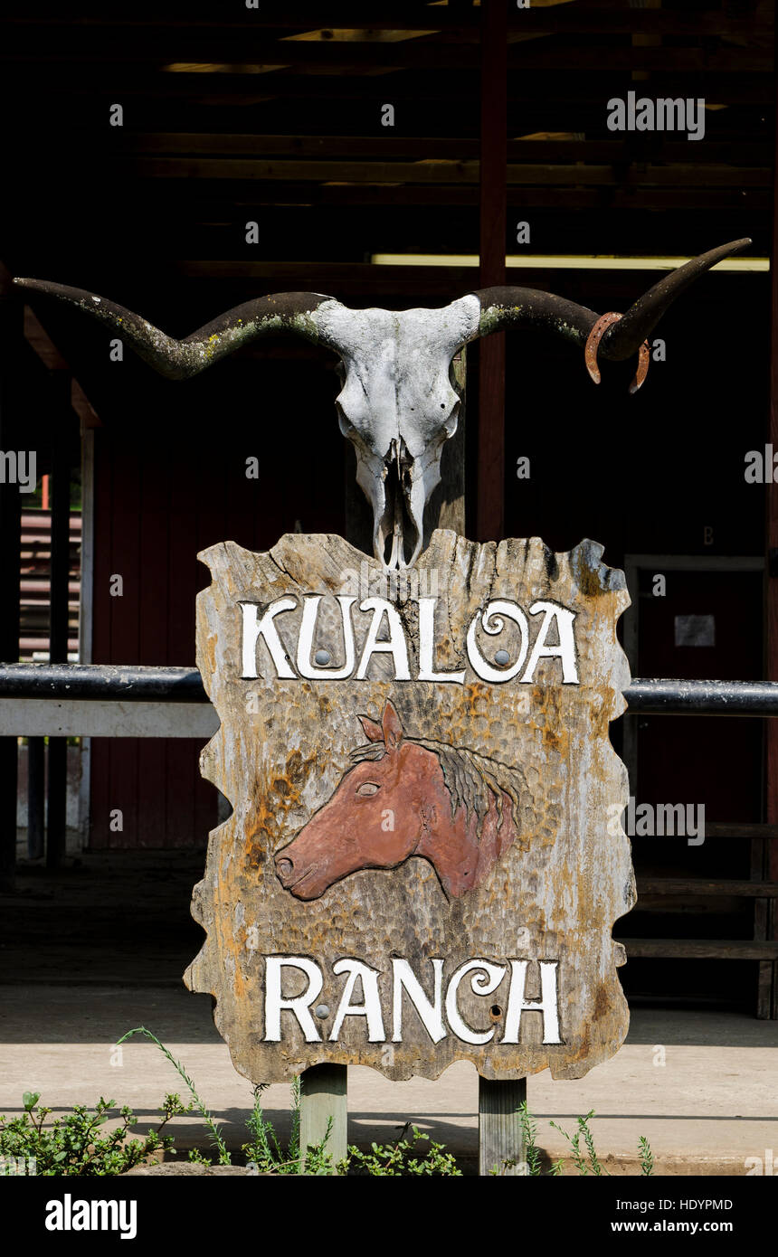 Kualoa ranch Banque de photographies et d’images à haute résolution - Alamy