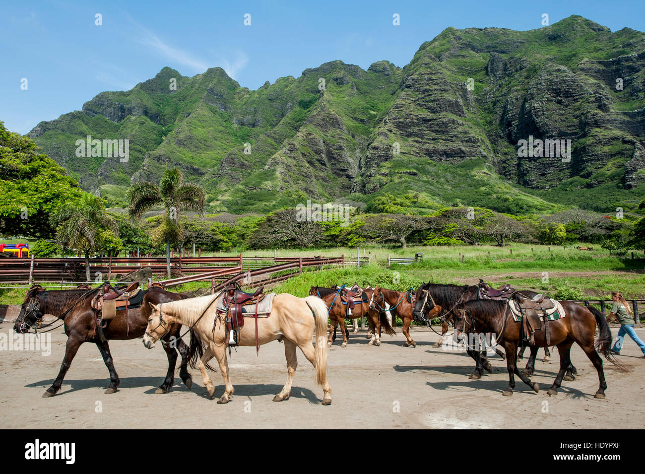 Kualoa ranch Banque de photographies et d’images à haute résolution - Alamy