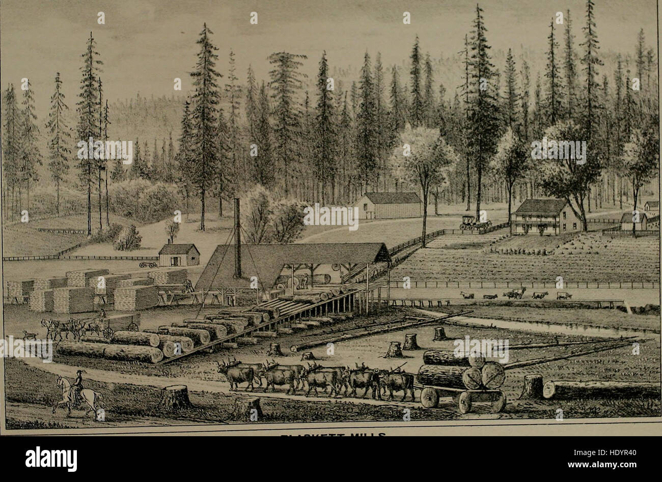 *Histoire du comté de Yuba* fournit un aperçu historique complet du comté, mettant en évidence son développement, ses habitants et ses paysages pittoresques à travers des illustrations et des récits détaillés. Banque D'Images