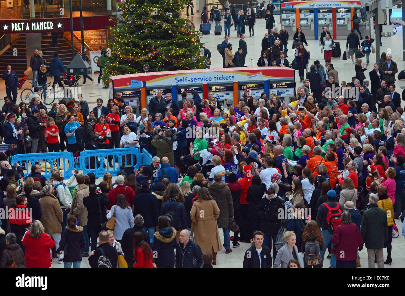 Londres, Royaume-Uni. 14Th Dec 2016. Hospice flash mob dans la gare de Waterloo à chanter sur un chanteur de Trinity Hospice dans le hall de gare à côté de l'arbre de Noël. Credit : JOHNNY ARMSTEAD/Alamy Live News Banque D'Images